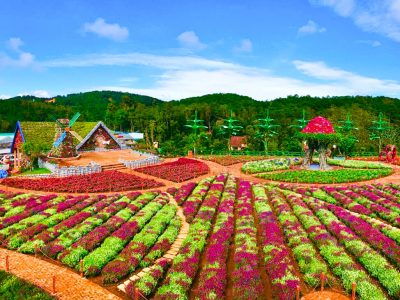 fresh garden da lat